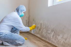 Why You Should Choose Our Mold Remediation Services in Rio Vista, TX